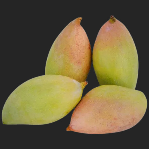 Thotapuri Mango